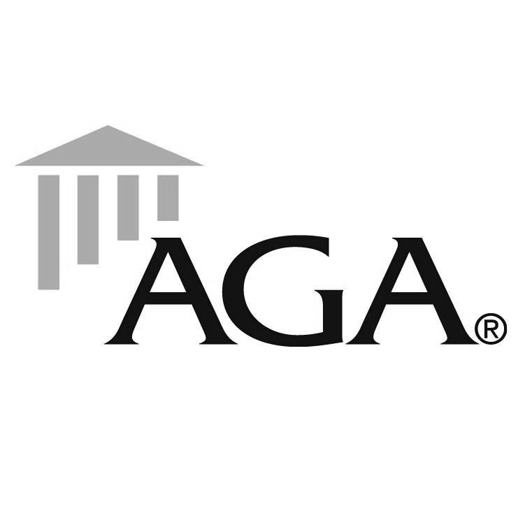 Association of Government Accountants